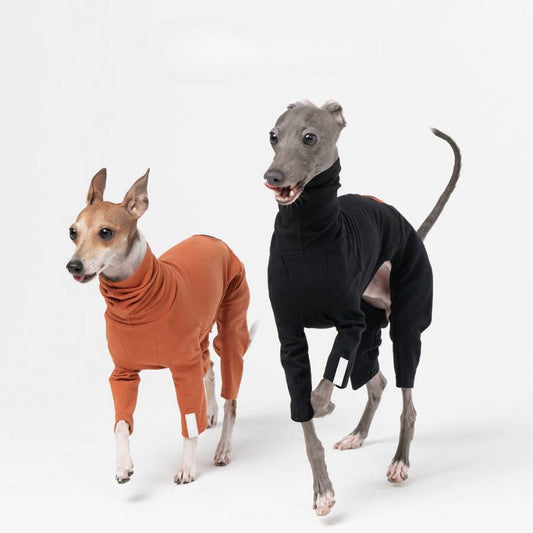 Italian Greyhound Clothes and Accessories Dog Cloth Italian Greyhound