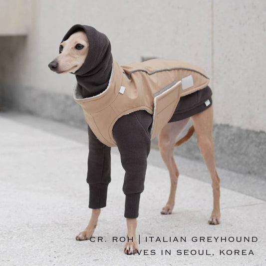 Our sleek pet  collection of dog coats are mainly suited for Greyhounds, Whippets, Italian Greyhounds and other larger Sighthounds. You can find fantastic warm coats