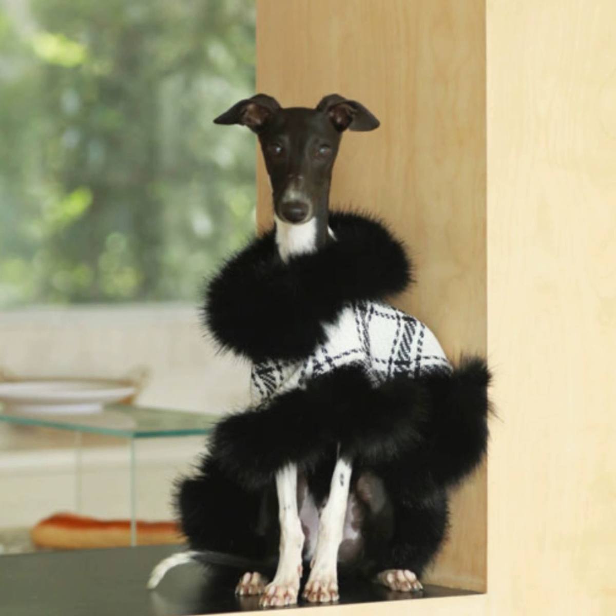 Fur Lined British Plaid Wool Cloak