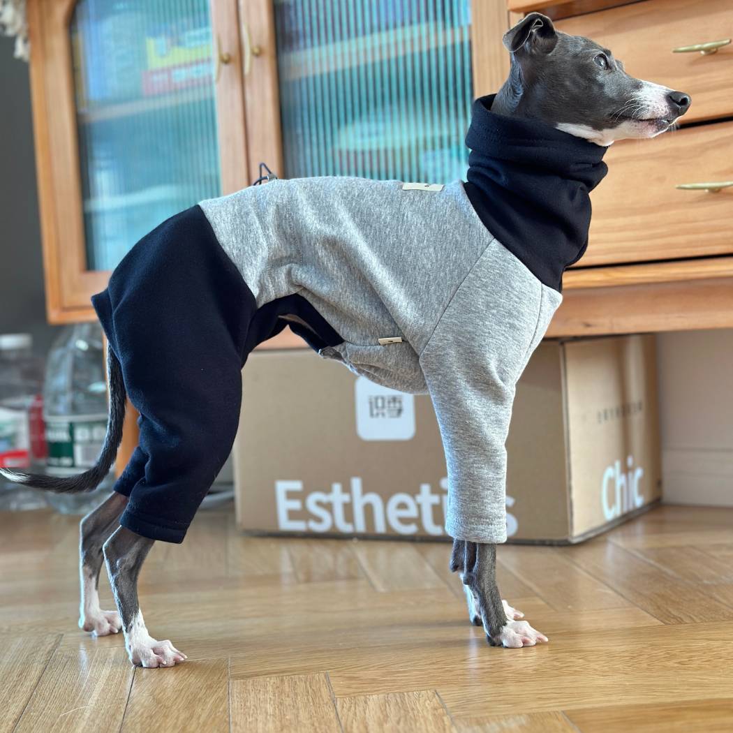 Whippet Jumpers, Fleece Sweaters & Pyjamas. Various sizes for Whippets, Greyhounds, Italian Greyhounds, Lurchers