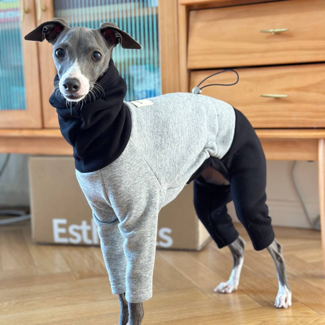 sleek Italian Greyhound Clothing Shop Italian Greyhound clothing tailor-made for their comfort. Explore Italian Greyhound sweaters, pajamas and more at Canada Pooch