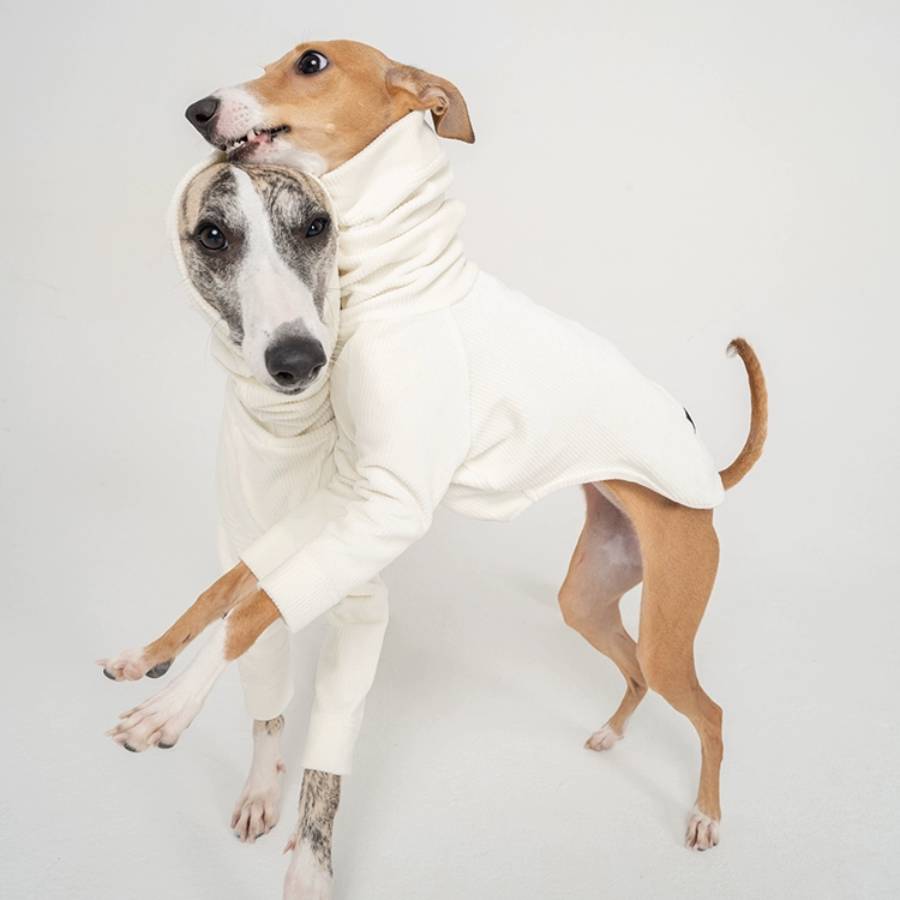 Perfect for whippets & smaller lurchers. The Aspen is the must-have coat this winter season, especially for those outdoor activities
