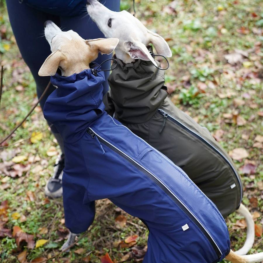 Overalls for sleek pet Italian Greyhounds made of thinner quilted fabric. The material is flexible, pleasant to the touch and does not crease