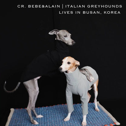 sleek pet GREYHOUND AND WHIPPET WATERPROOF WINTER COATS & JUMPERS  There's no better time than now to go ahead and wrap your Whippet in luxury