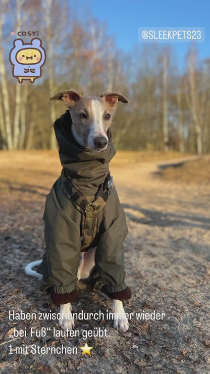 Get your italian greyhound a great winter coat sleek pet  Clothes for italian greyhound Italian Greyhound Dog Clothing & Shoes for sale